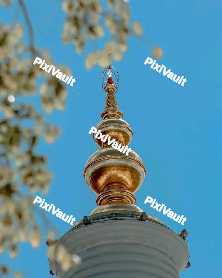 Top on the Pagoda of secred Ruwanweliseya